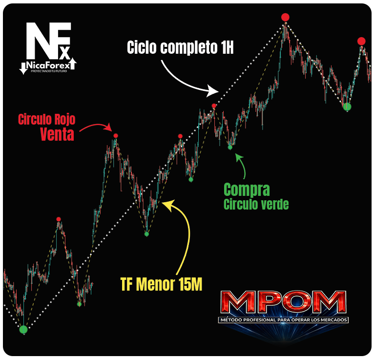 Muestra Scanner de Ondas