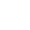 NicaForex Logo